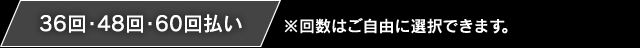 36回・48回・60回払い